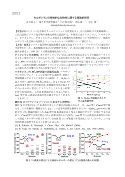 2P02 - 理論化学研究室