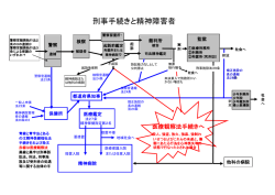 刑事手続きと精神障害者図面参照PDFファイル