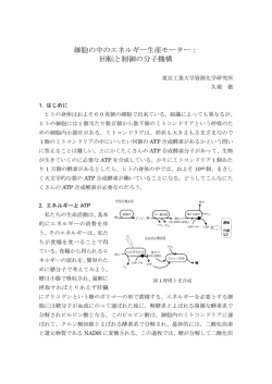 細胞の中のエネルギー生産モーター - 東京工業大学 科学技術創成研究