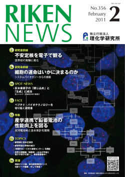 細胞の運命はいかに決まるのか - 理化学研究所 統合生命医科学研究