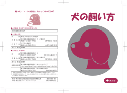 犬の飼い方