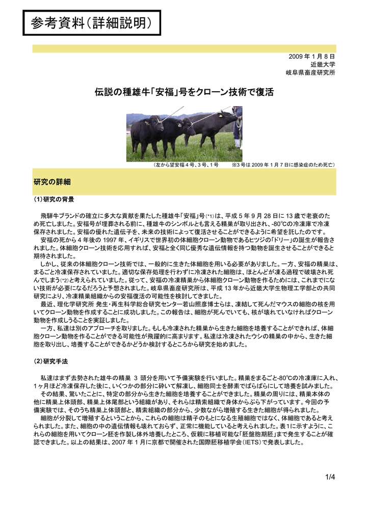 参考資料 詳細説明