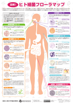 ヒト細菌フローラマップ - JCHM 日本人腸内環境の全容解明と産業応用