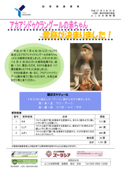 月・木・土 ワニ・アーニ 水・金・日 ツバオ・コイ・サオ