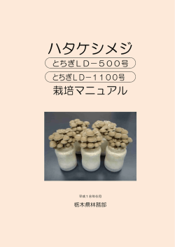 栽培マニュアル