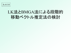LK法とBMGA法による段階的 移動ベクトル推定法の検討