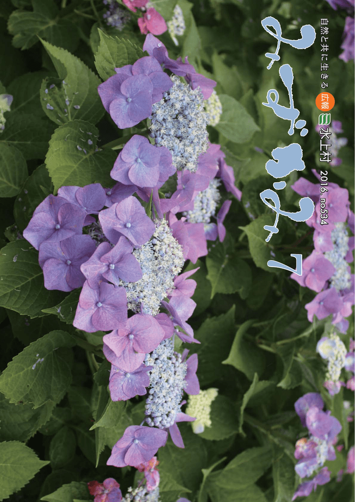 平成28年7月 No 534 Pdf 約5mb