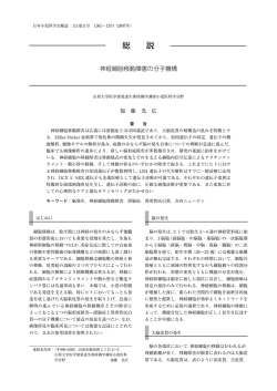 加藤光広：神経細胞移動障害の分子機構．