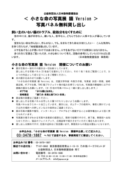 ＜ 小さな命の写真展 猫 Version ＞ 写真パネル無料貸し出し