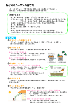 みどりのカーテンの育て方