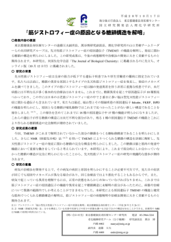 筋ジストロフィー症の原因となる糖鎖構造を解明