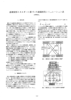 蓄積変形エネルギーに基づいた組織変化シミュレーション法