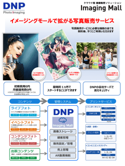 PDFファイル - DNP 大日本印刷