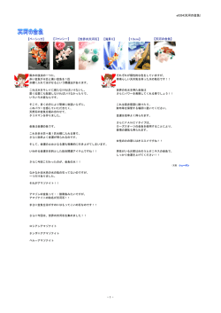 e0354(天河の金魚) 【ベーシック】 【世界の天河石】 【ファンシー】 【13cm