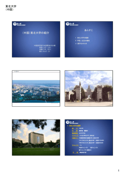 東北大学 （中国）