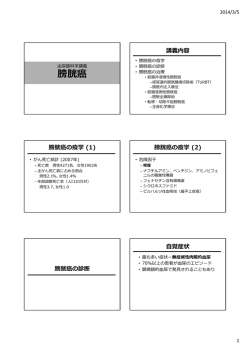膀胱癌 （北村先生）