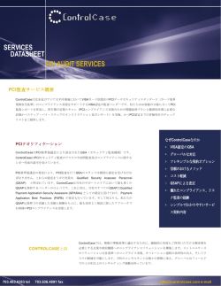 DATASHEET PCI AUDIT SERVICES