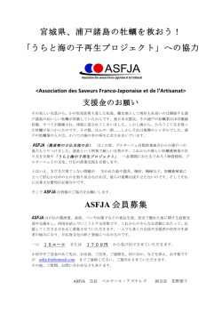 La pr&eacute;sentation du projet en cours