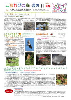 こもれびの森通信 2016年11月号