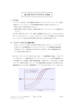 はじめてのリアルタイム PCR
