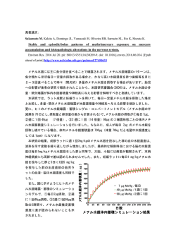 "メチル水銀の一定量連続曝露及び多量・間欠曝露が神経系の 水銀蓄積