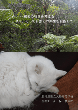 （ダウンロード）できます。(PDF:2.94MB)