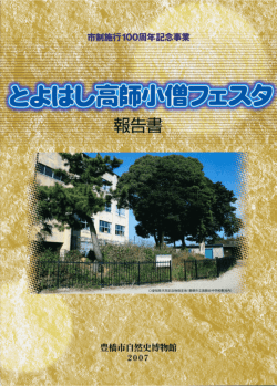 Untitled - 豊橋市の博物館