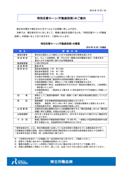 特別災害ローン(不動産担保)
