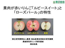 こちら