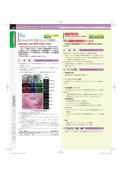 Human mc-iPS Cell Line