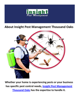 Insight Pest Control Management in Simi Valley, CA