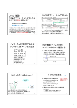 DNS 特論