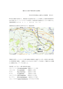 観音山丘陵の哺乳類生息調査 調査地点