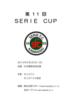 SERIE CUP