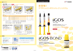 PDFダウンロード