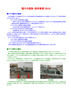 種子の採取･保存事業