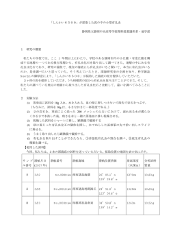 pdfファイル