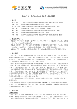 脳内マリファナがてんかんを抑えるしくみを解明