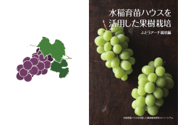 水稲育苗ハウスを活用した果樹栽培ぶどうアーチ栽培編