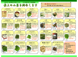 山菜料理パンフレット（PDF）