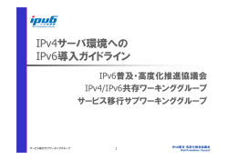 IPv4サーバ環境への IPv6導入ガイドライン