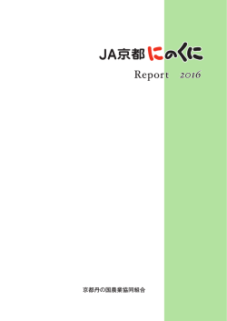 2016年ディスクロージャー誌