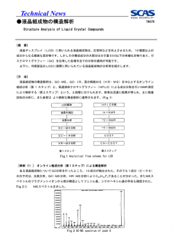 液晶組成物の構造解析