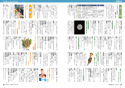 Information