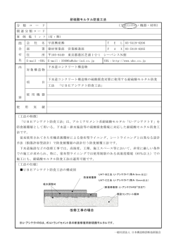 耐硫酸モルタル防食工法 - 構造物診断士会