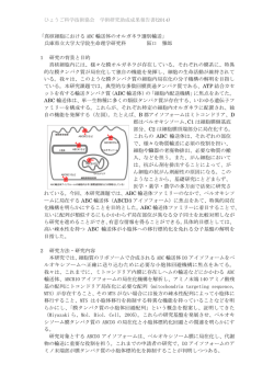 真核細胞におけるABC輸送体のオルガネラ選別輸送
