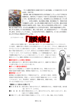 筋肉疲労による慢性の腰痛症 ぎっくり腰(急性腰痛症) 椎間板ヘルニア