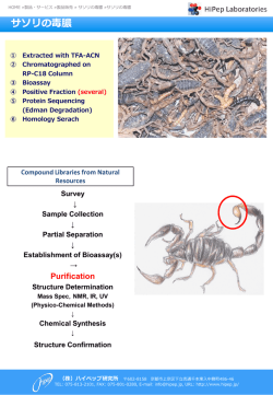 サソリの毒膿 - 株式会社ハイペップ研究所