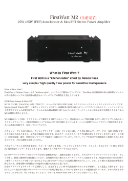 FirstWatt M2（生産完了）