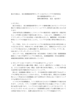 独立行政法人 国立循環器病研究センターにおけるミニブタの使用状況